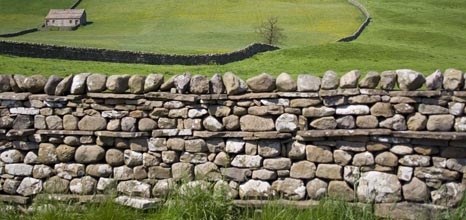 Dry Stone Walling